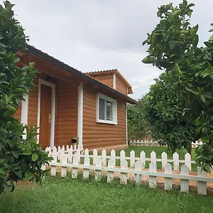 The Mussel House , Ksamil Albania